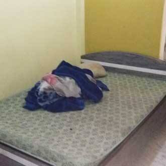 Sarai Lodge, Guwahati 3
